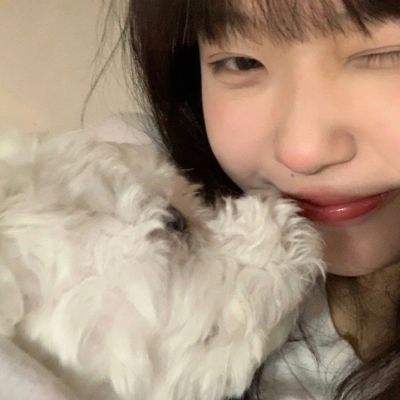 半岛5.0下载官网